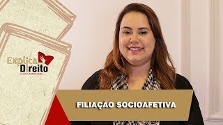 Explica Direito Filiação Socioafetiva  2019 [upl. by Hospers]